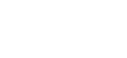 verisurf logo
